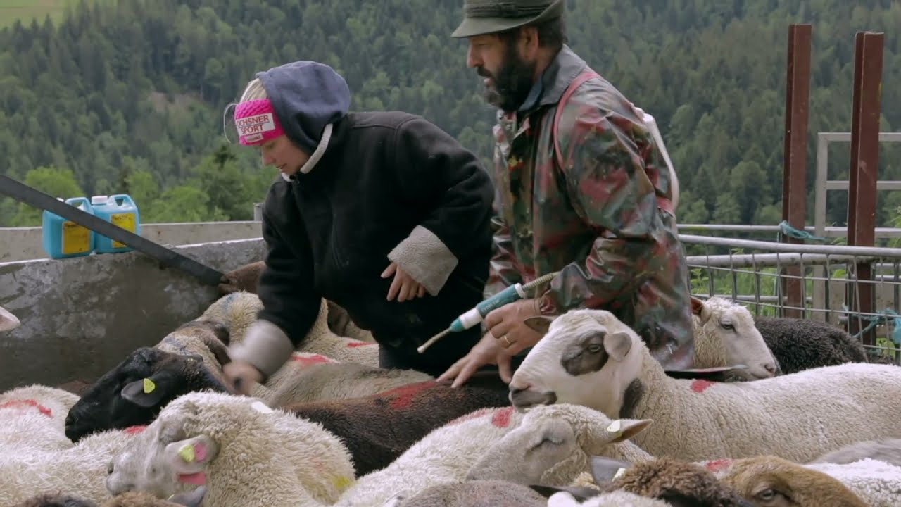 Der Alpsommer steht bevor