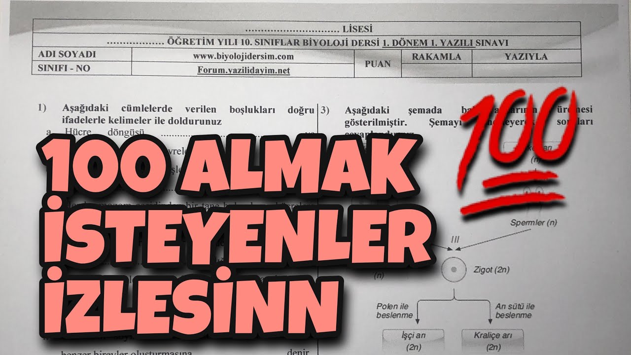 10.Sınıf Biyoloji 1.Dönem 1.Yazılı