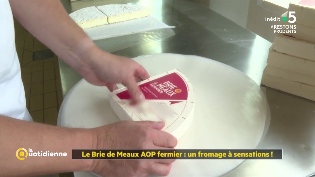 Le Brie de Meaux AOP fermier : un fromage à sensations ! - La Quotidienne
