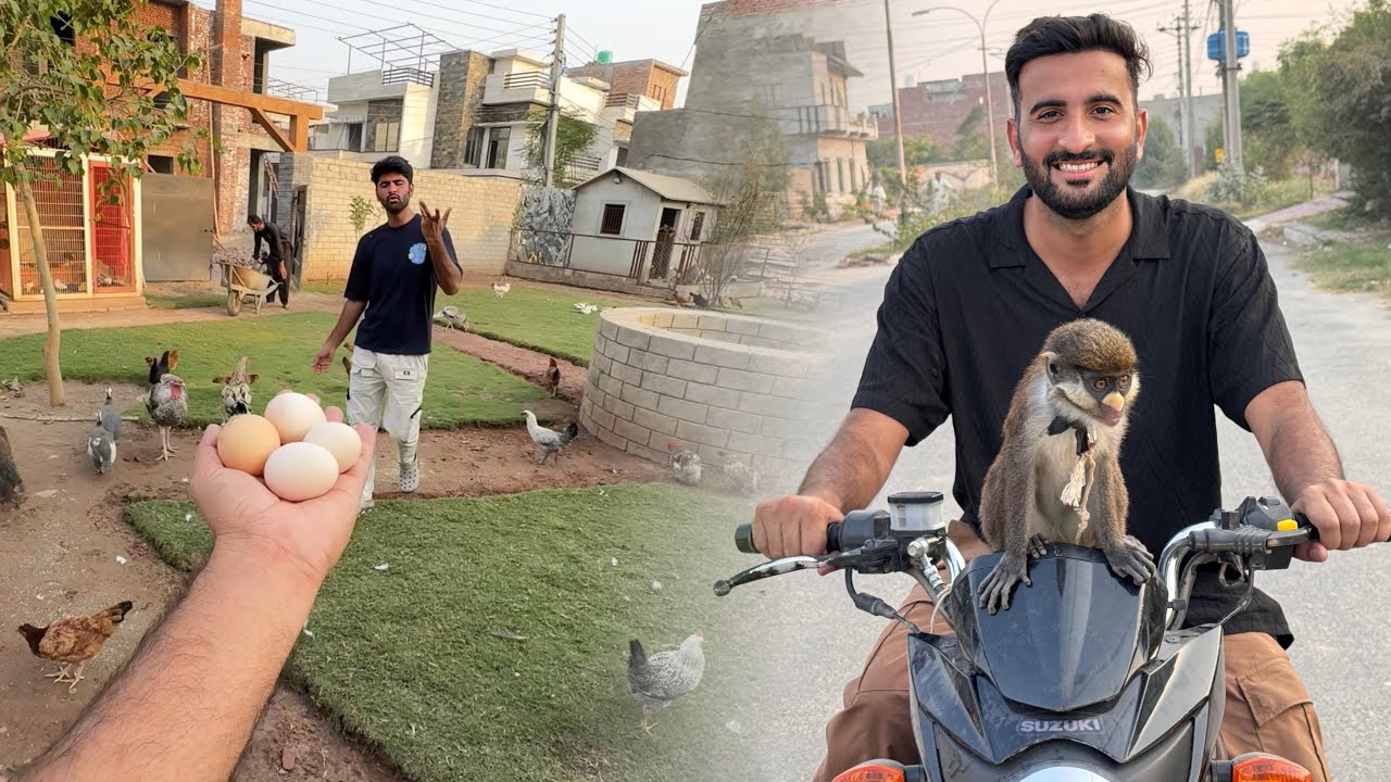 Aj Jugoo Bander Ko Bike Pr Markeet Le Gaiy😍