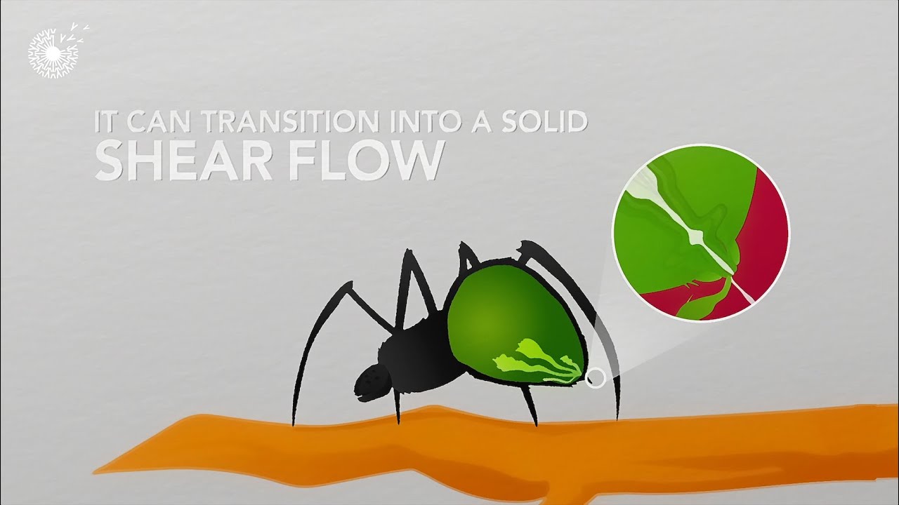 A Spider Inspired Solution to Sustainable Fashion | Turning Liquid Into Thread=The Future of Design?