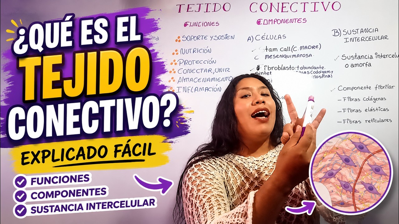 ¿QUE ES EL TEJIDO CONECTIVO?