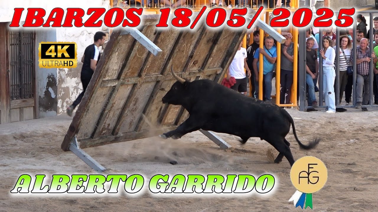 🔝👍IBARSOS 2025 ALBERTO GARRIDO