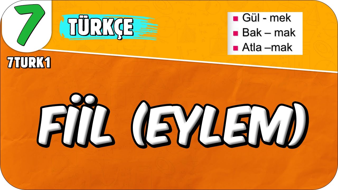 Fiiller 📙 7. Sınıf Türkçe #2025