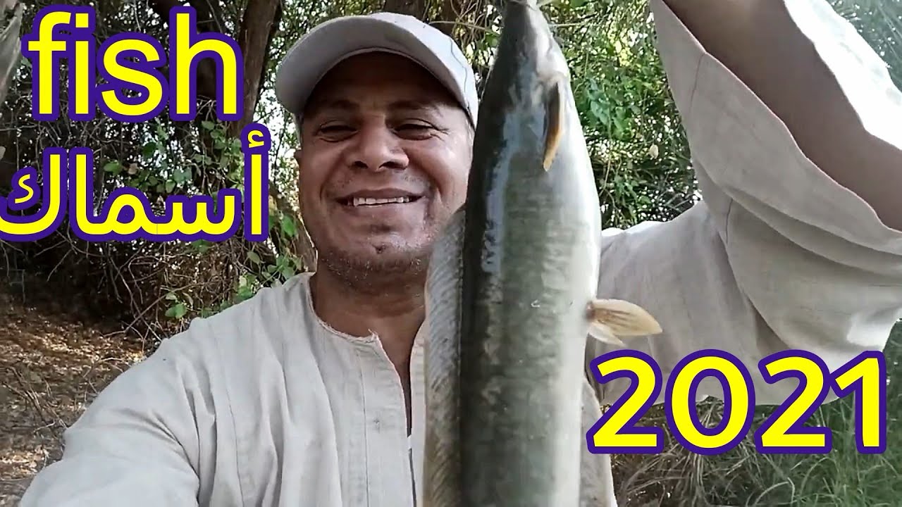 اجمل فيديو صيد سمك في 2021 علي قناتي #Arfat Dabok