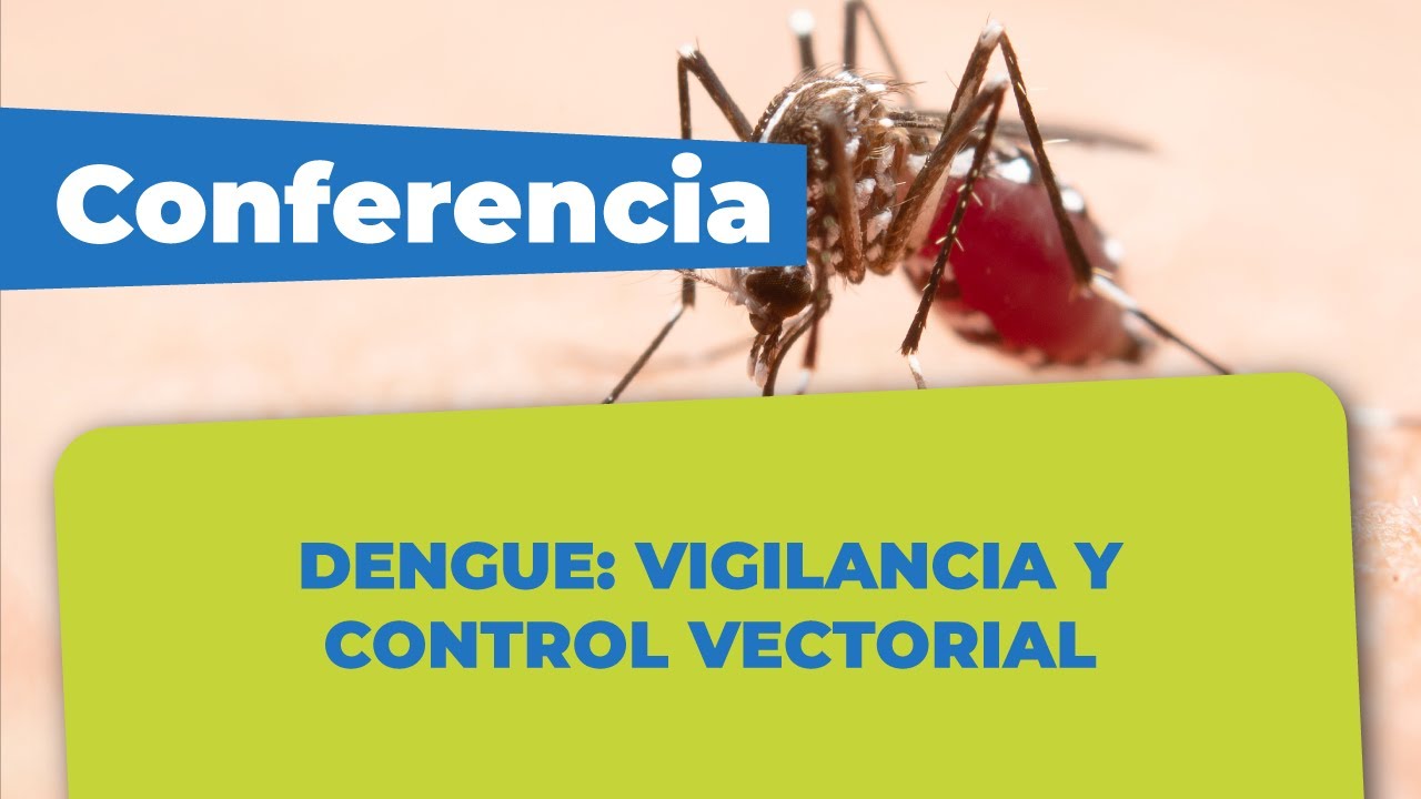 CONFERENCIA VIRTUAL – DENGUE: VIGILANCIA Y CONTROL VECTORIAL