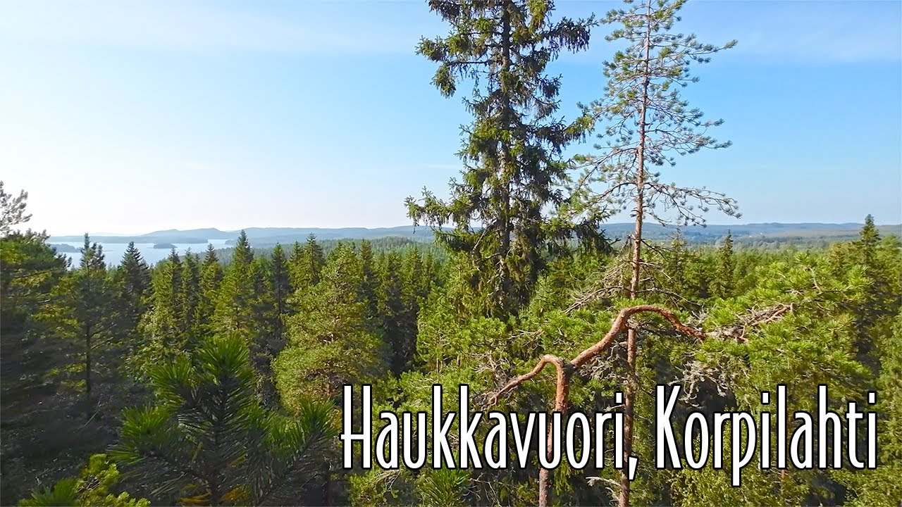 Haukkavuori, Korpilahti