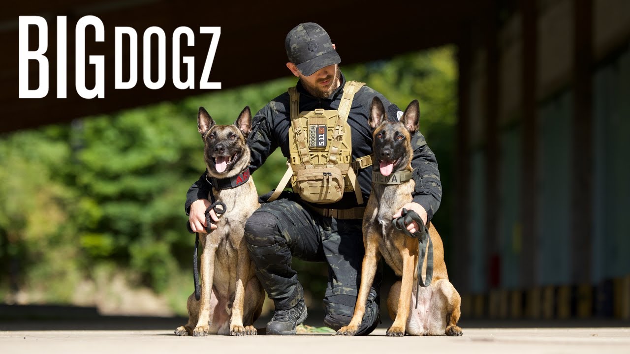Я обучил своих собак военному стандарту | BIG DOGZ