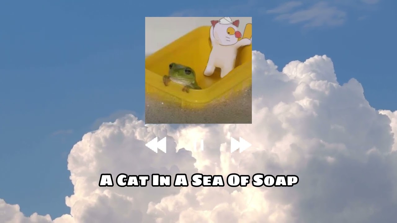 nobonoko - A Cat In A Sea Of Soap