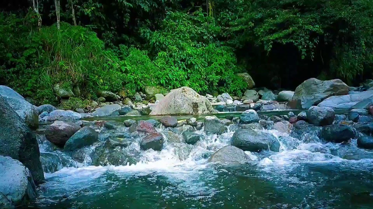 🌊 Ultimate Night River ASMR Sounds for Deep Sleep, Relaxation & Inner Calm