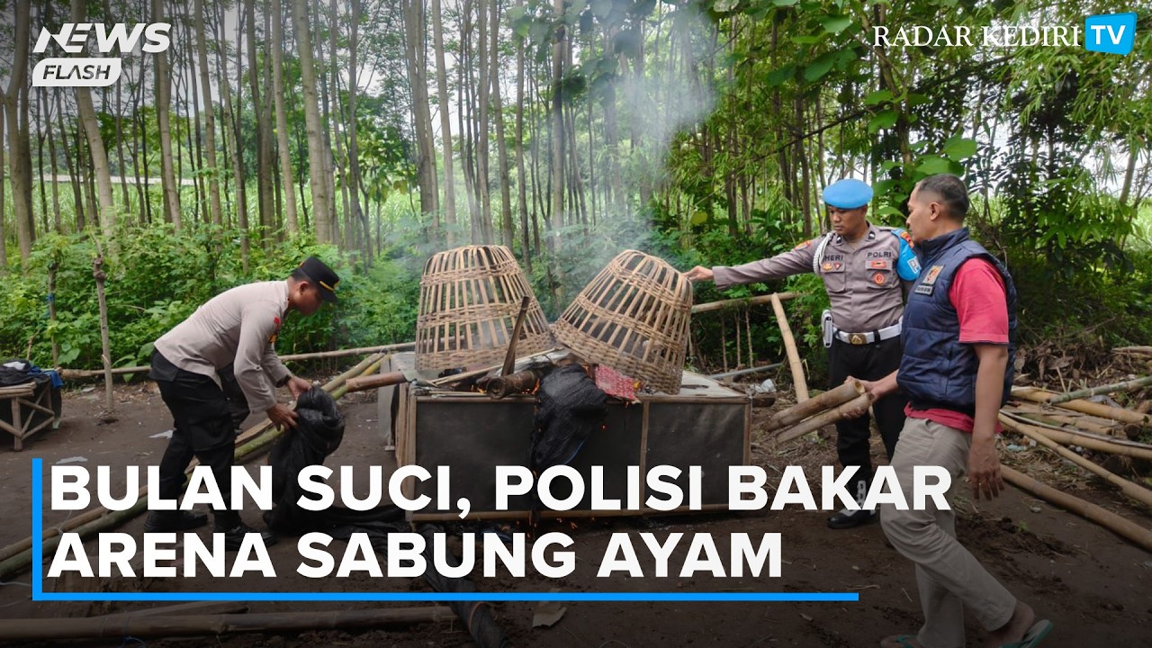 Bulan Suci, Polisi Bakar Arena Sabung Ayam