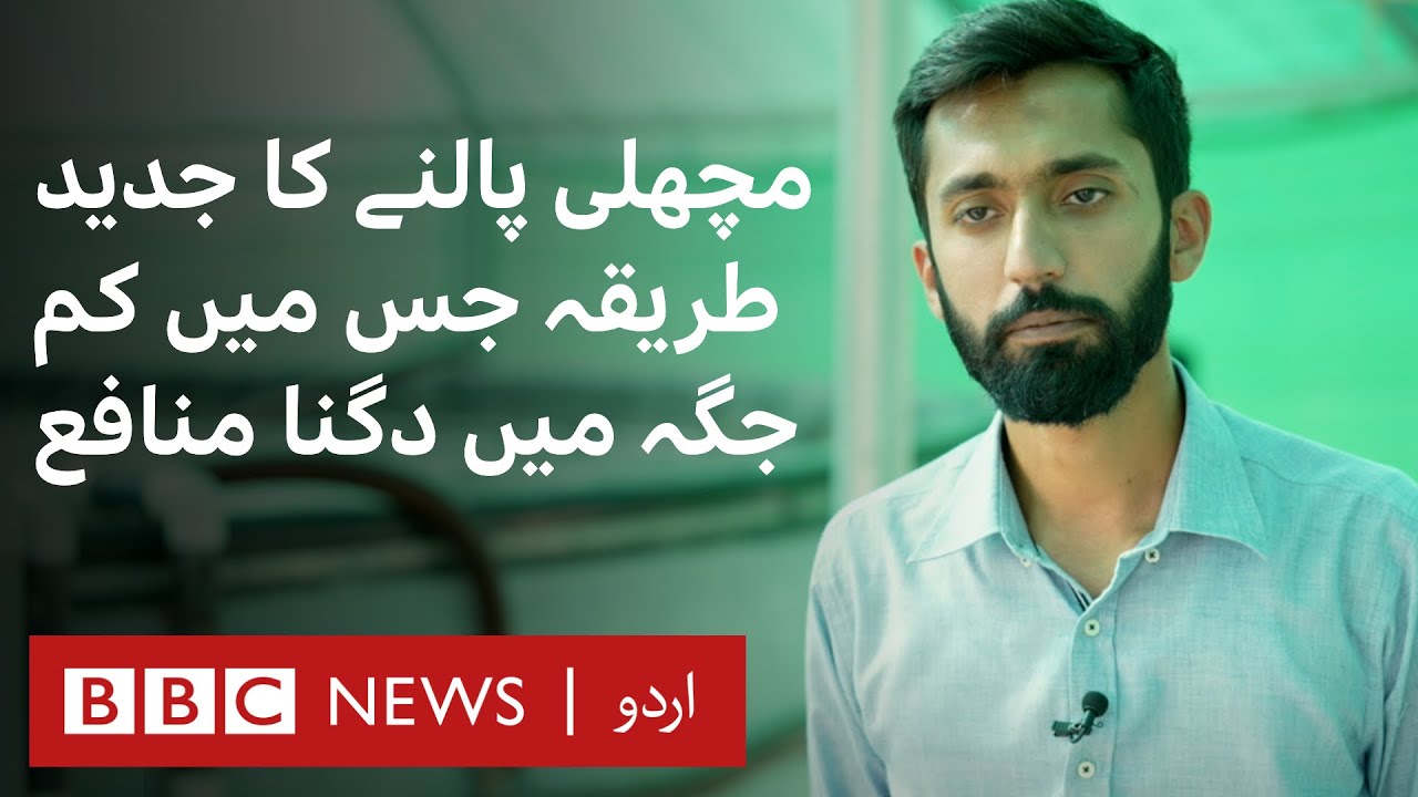 Biofloc: Fish Farming Technology that requires minimal land but doubles the profit  - BBC URDU