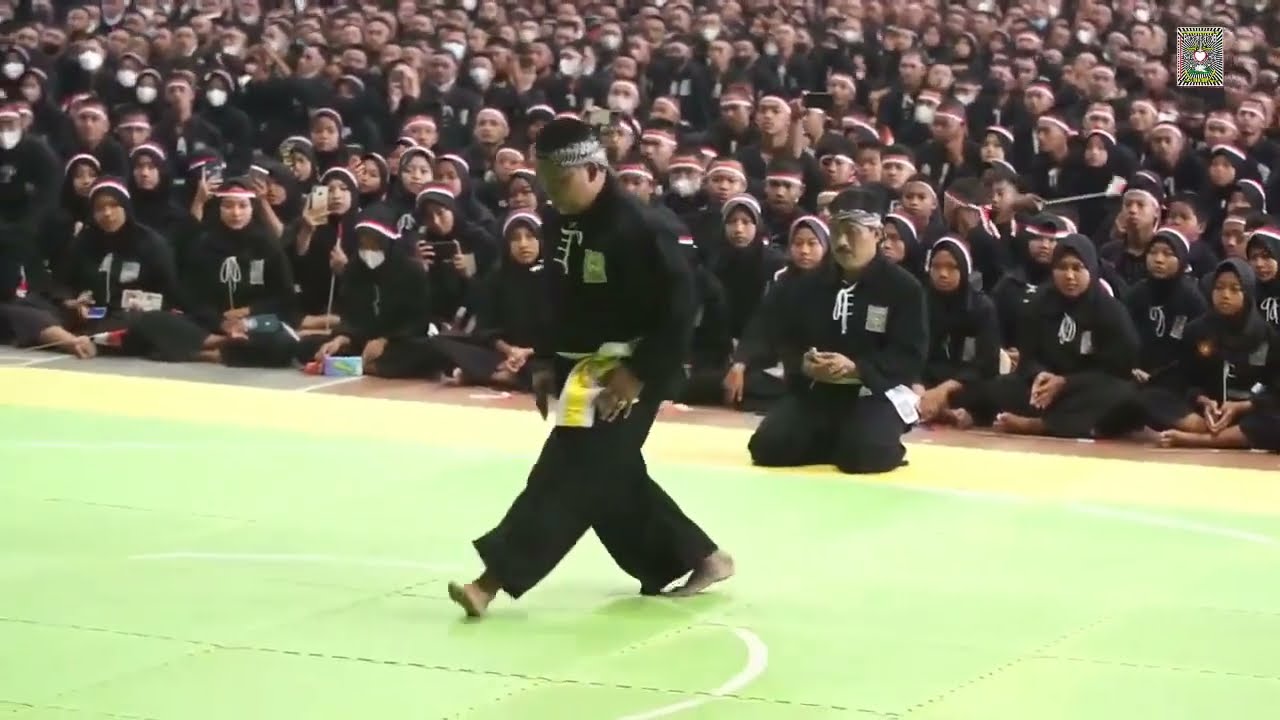 LUAR BIASA!!! AKSI SOLOSFEL SESEPUH PSHT CABANG SRAGEN