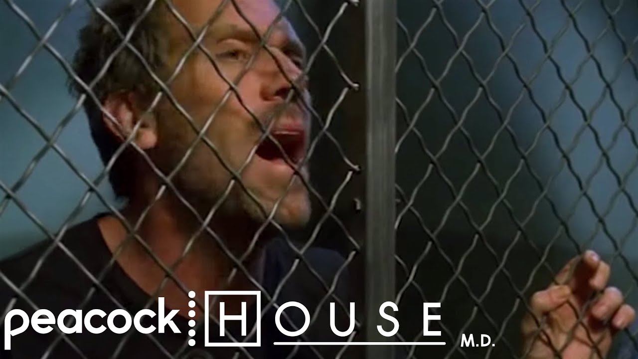 Wrath of Tritter | House M.D..