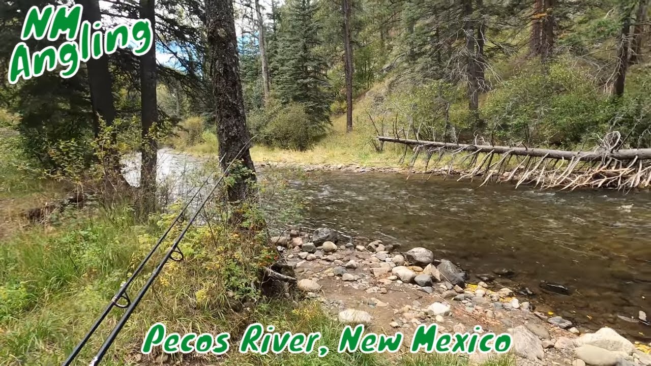 FISHING was on FIRE in PECOS NEW MEXICO