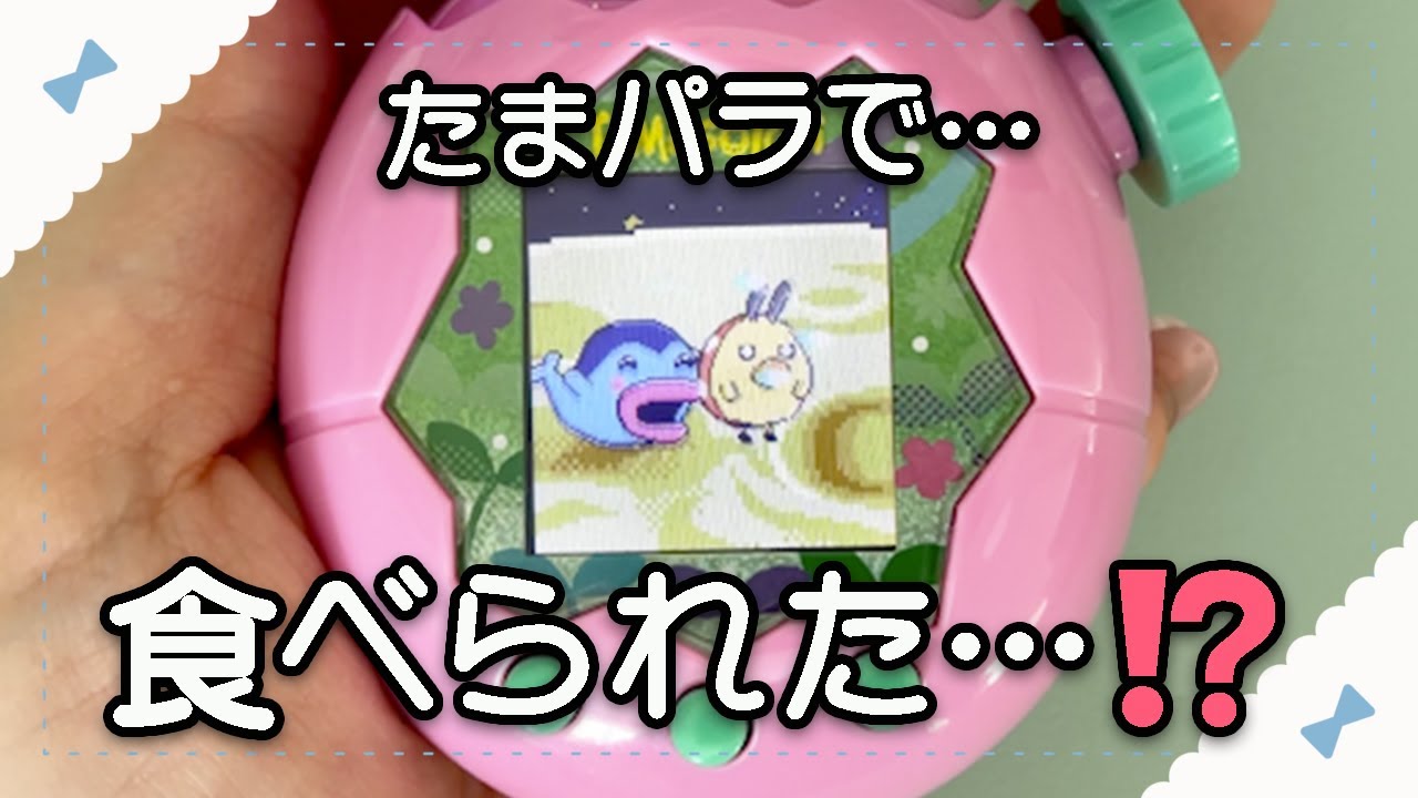 なぜ、てんとっちは食べられたのか｜たまパラに繋がる“28年前の姿”