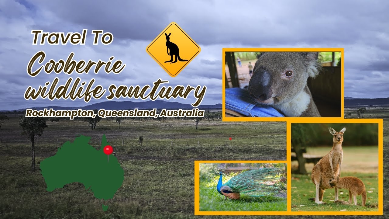 CooBerries Wildlife Sanctuary Visit First time in Australia