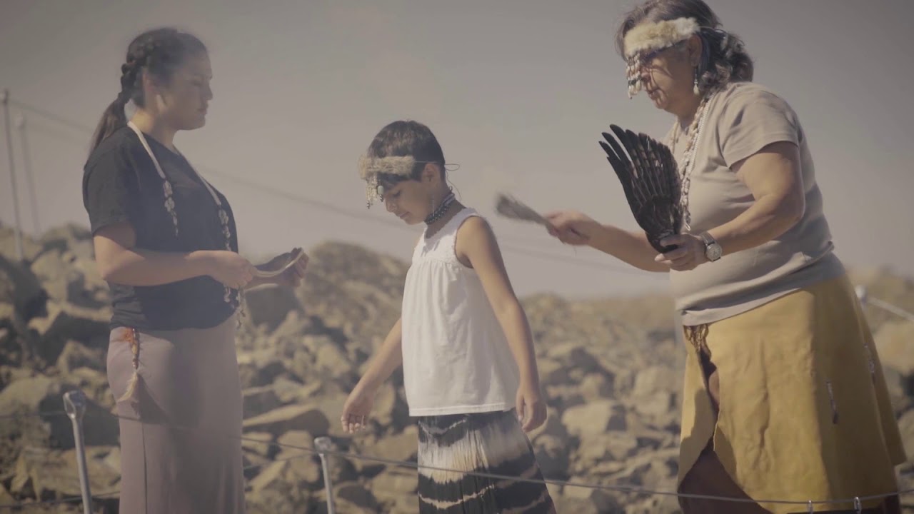Relearning Ecological Knowledge | California Academy of Sciences