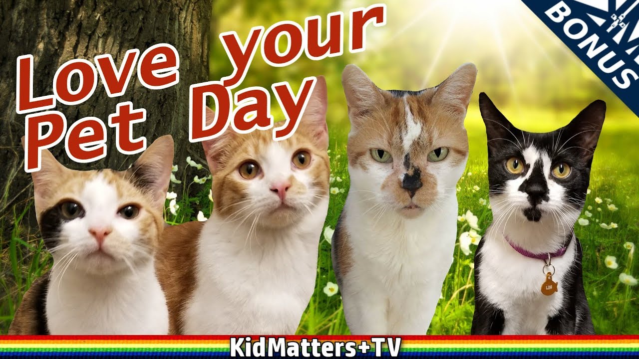 KITTIES! Meet Our Pets | Love Your Pet Day | Rescued animals [KM+Bonus S02E56]