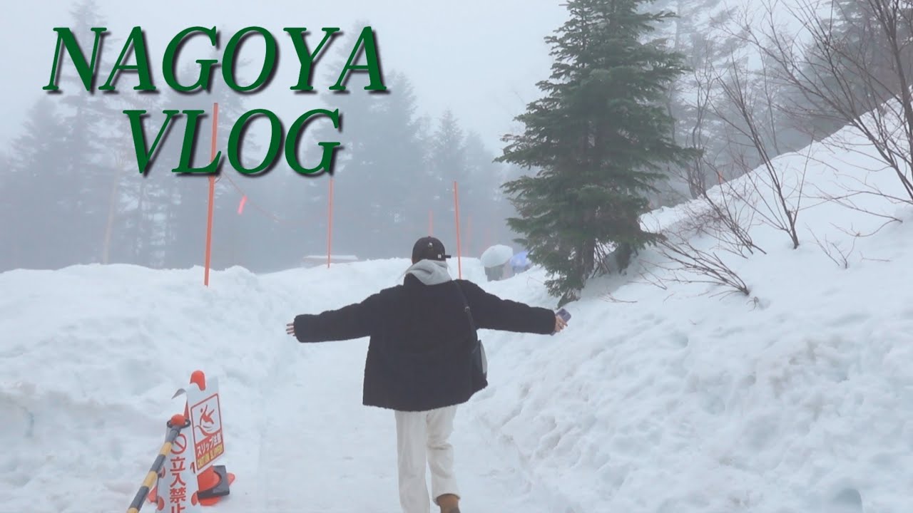 (SUB) VLOG l 아름다운 눈과 음식이 함께하는 시라카와고 나고야 브이로그