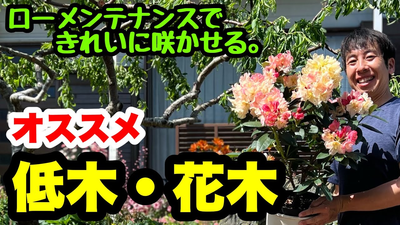 ◆夏が暑いこれからの時代【低木・花木】オススメ品種紹介します！