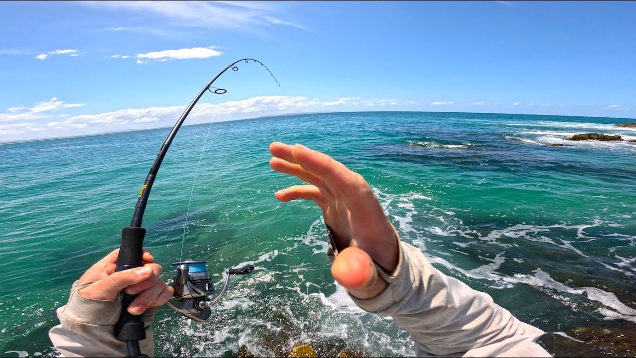 Fishing NOOSA HEADS Australia - Land Based | Tropical Paradise!