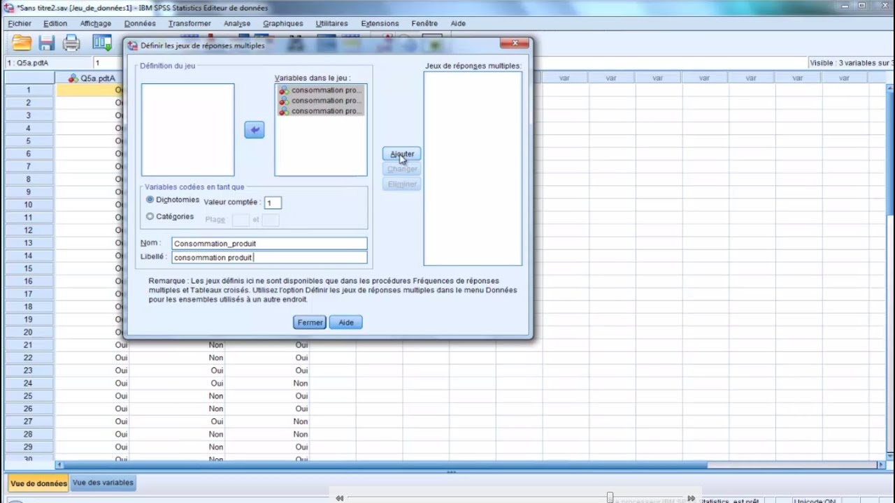 Formation SPSS : Analyse d'une question à Choix Multiple