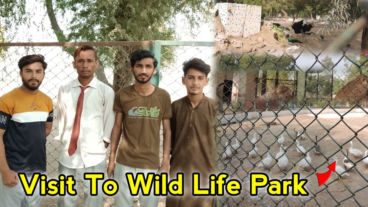 Visit to wild life 🏞️ Park | Khokar Vlogs|