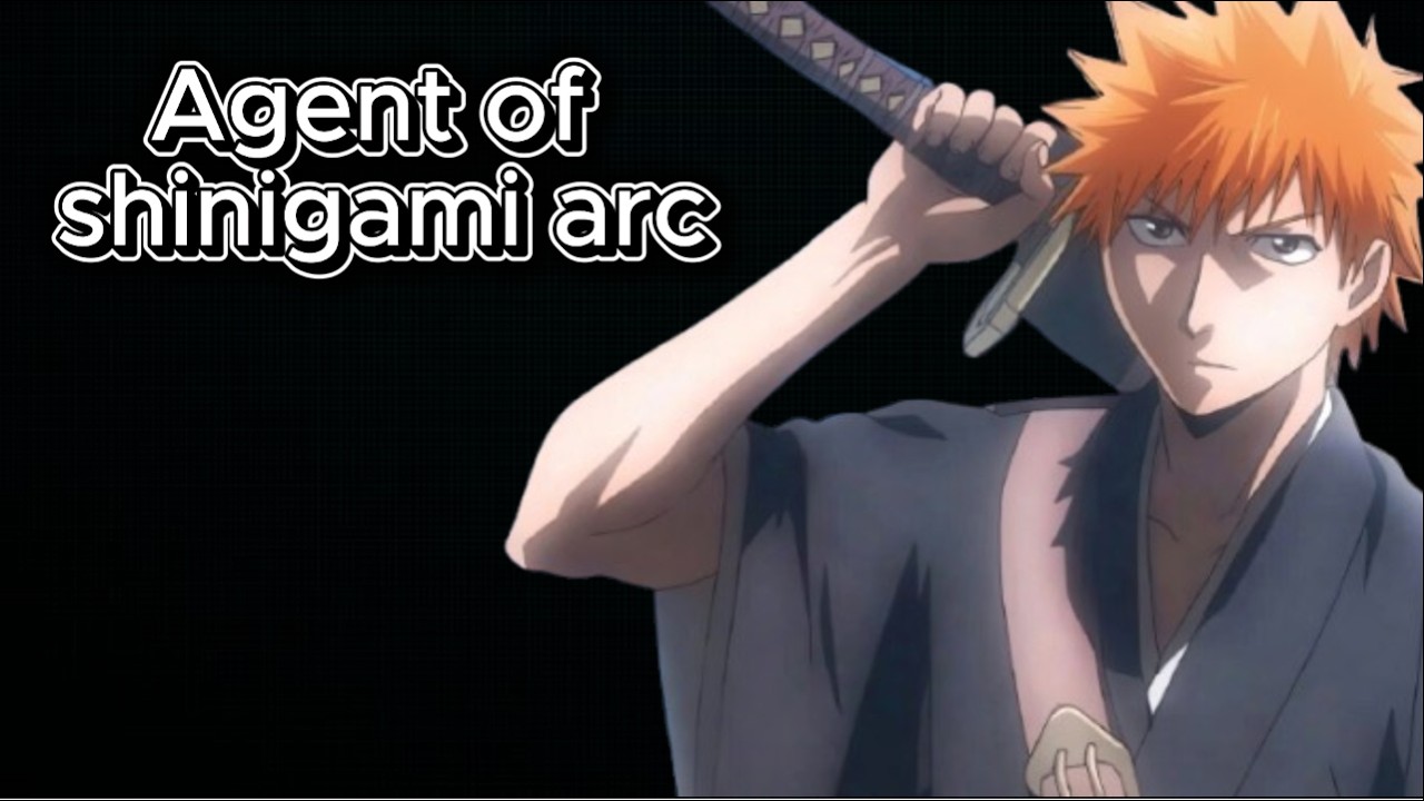 Bleach: Agent of Shinigami arc Review