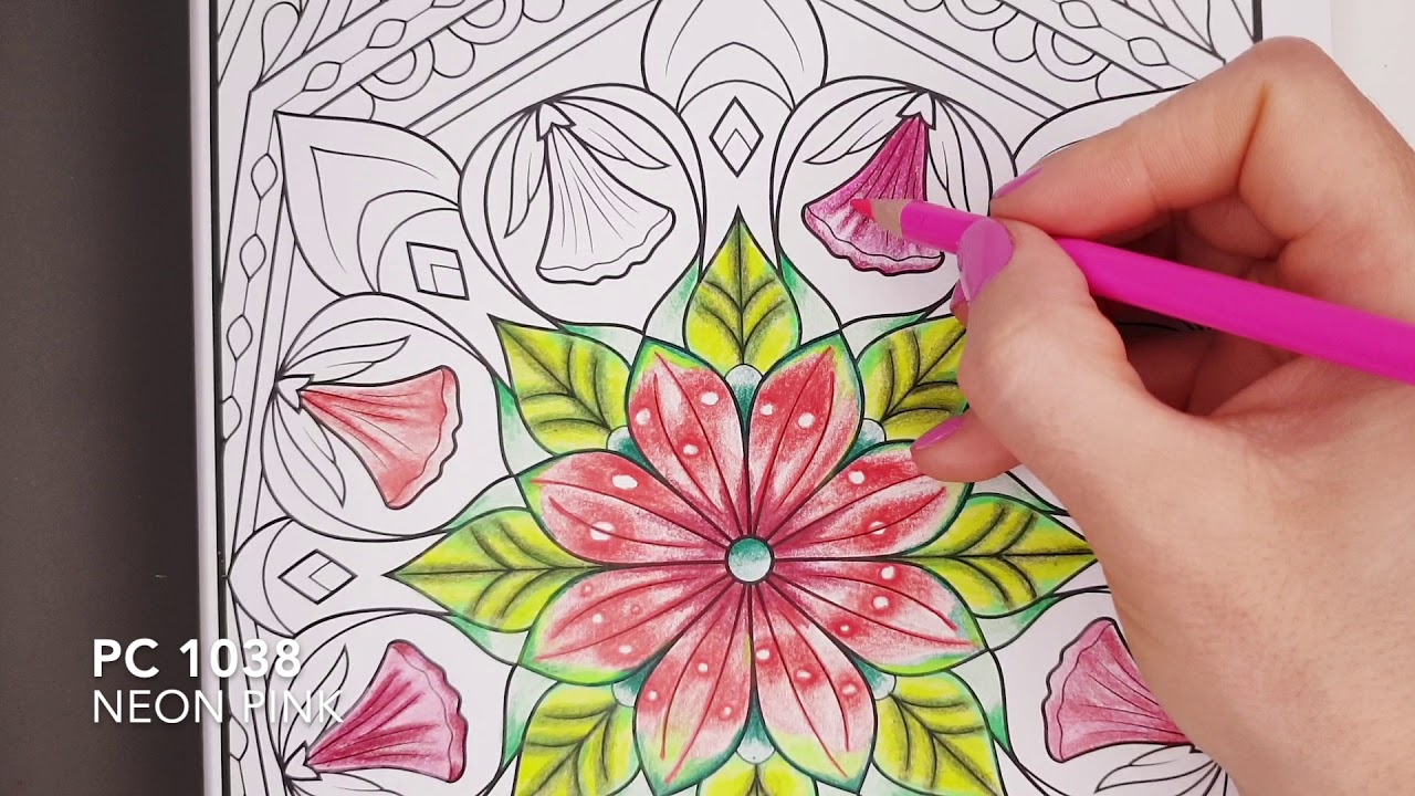 Jade Summer 100 Amazing Patterns: An Adult Coloring Book with Fun, Easy, and Relaxing Coloring Pages