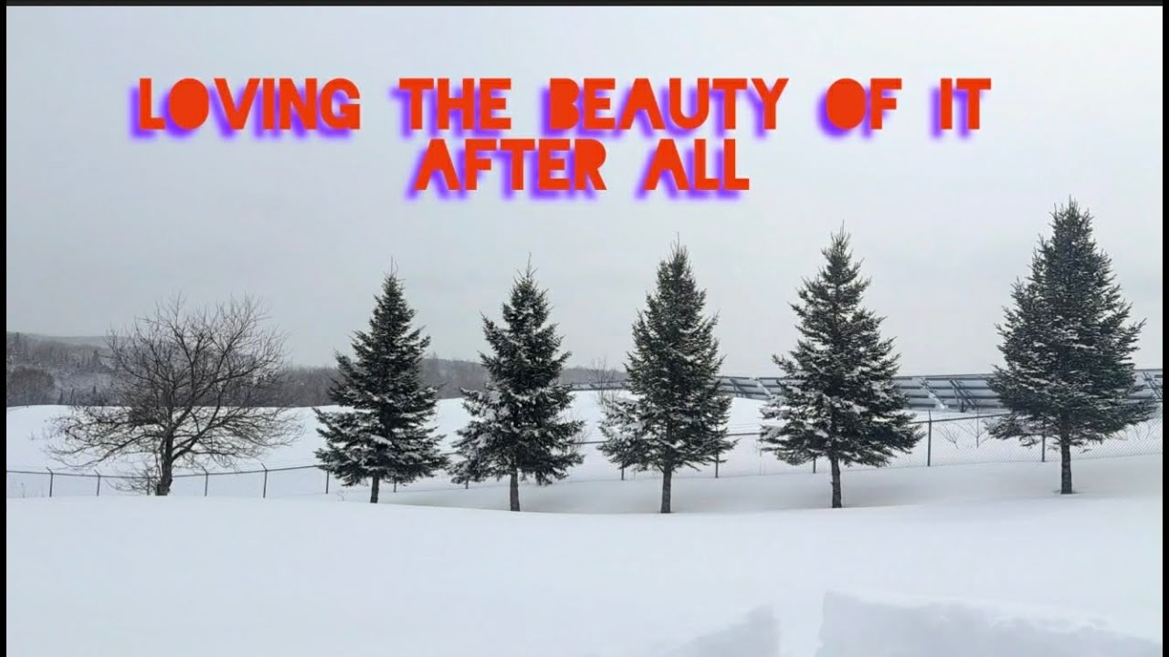 LOVING THE BEAUTY WINTER GIVES