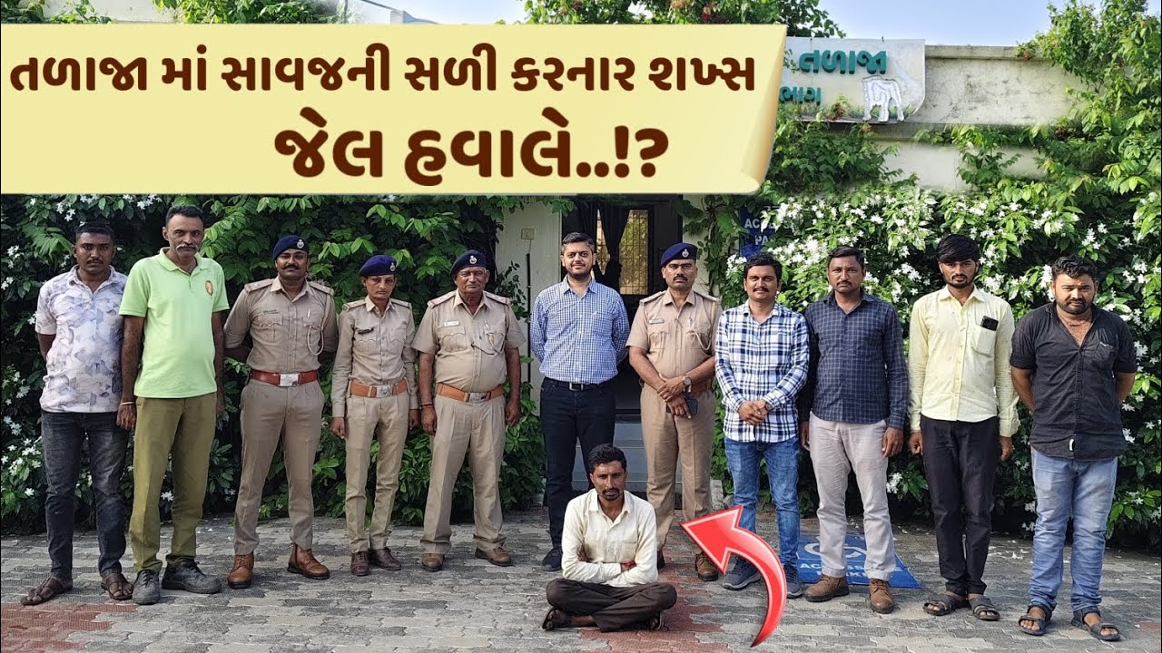સિંહની પજવણી પડી ભારે! તળાજા ના શખ્સને જેલ હવાલે કર્યો? / Talaja lion case / gujrat forest