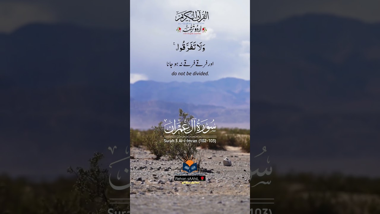 Momino Allah se Darna, Tarjuma e Quran 🥀 Rehan sAAhiL 🌹#shorts