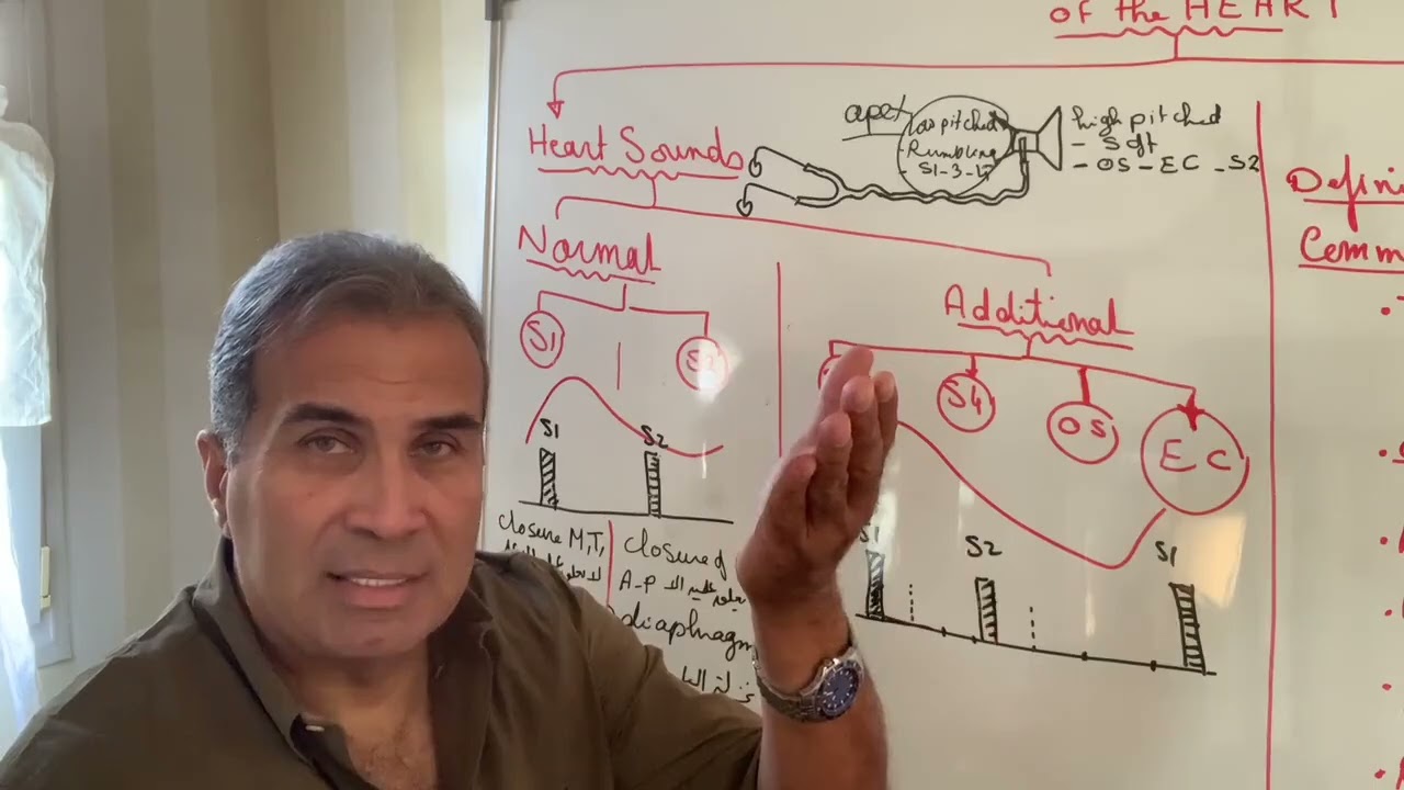 Clinical Cardiology Dr. Ashraf Zaki - Local Heart Examination 2 ( Auscultation 1 )
