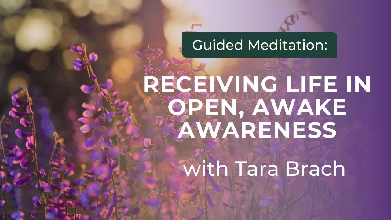 Guided Meditation: Receiving Life with Open, Awake Awareness, with Tara Brach