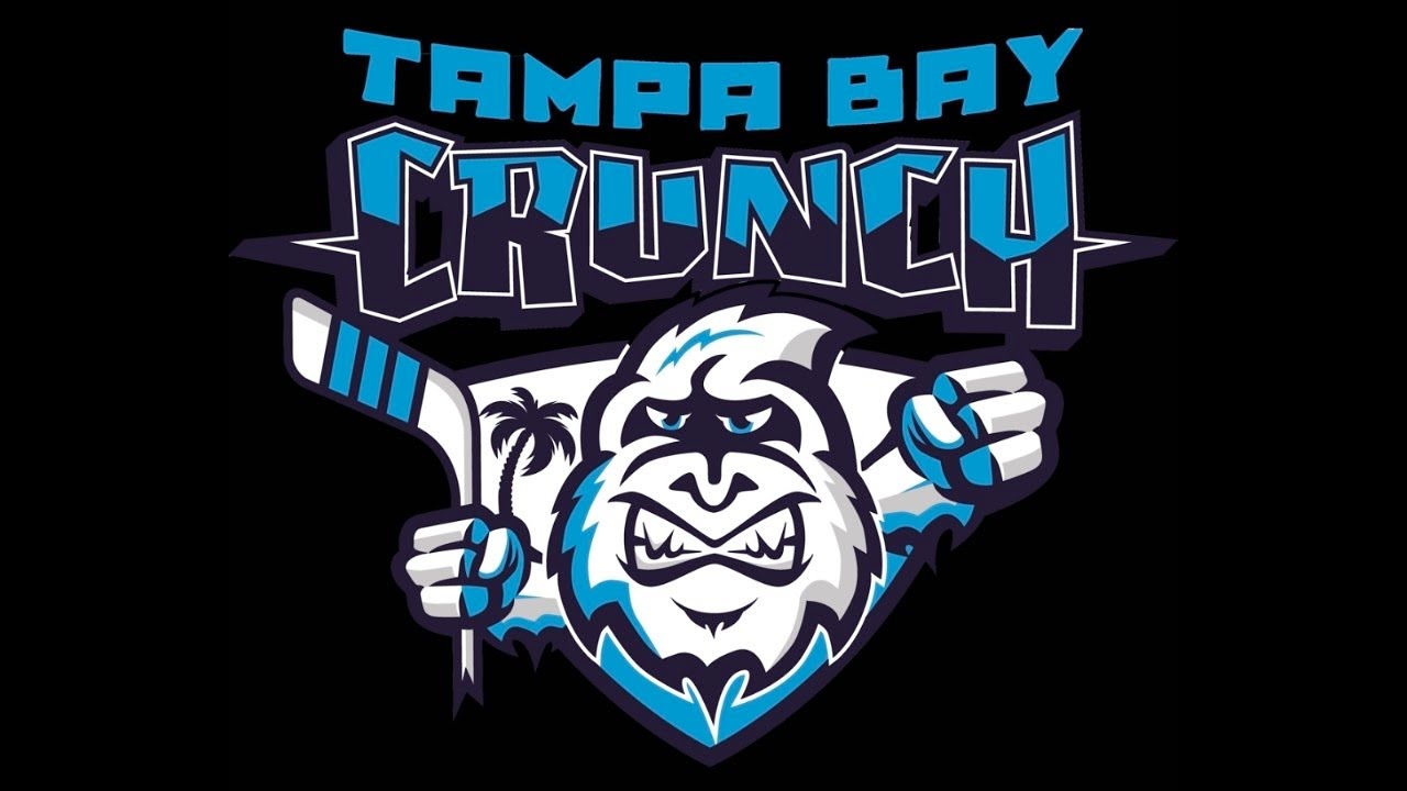 Tigers 14u AA vs Tampa Bay Crunch - 15/02/2026