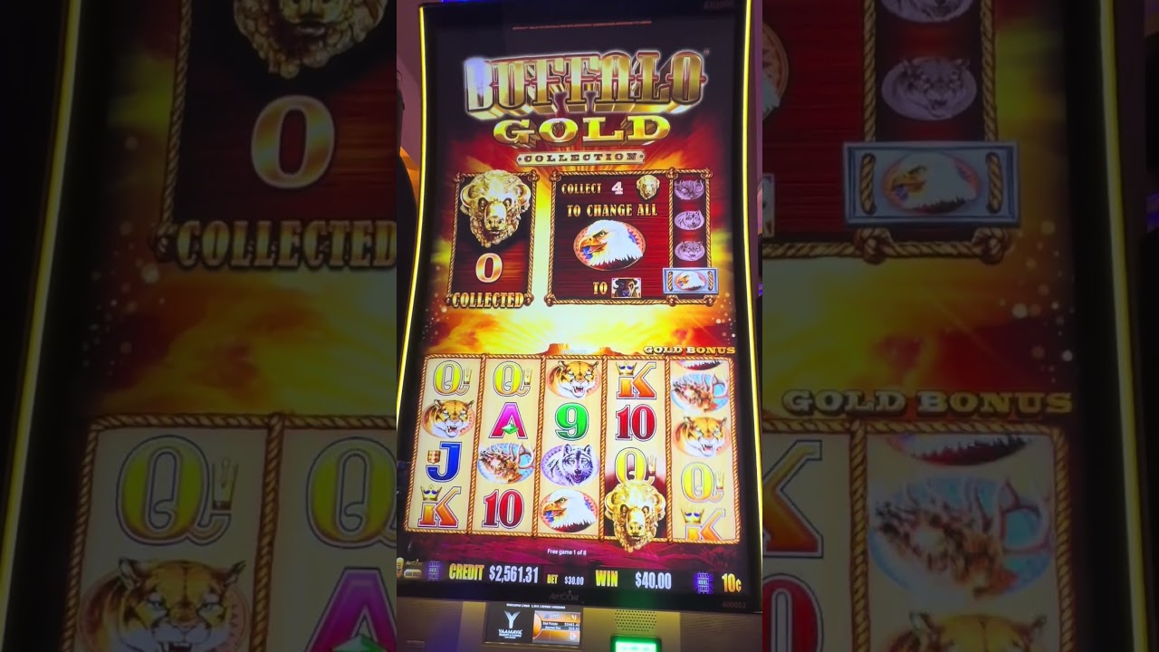 BUFFALO GOLD COLLECTION $30 Bet HIGH LIMITS🔥 Chasing my #1 slot BUCKET LIST! 🎰 15 BUFFALO HEADS🦬