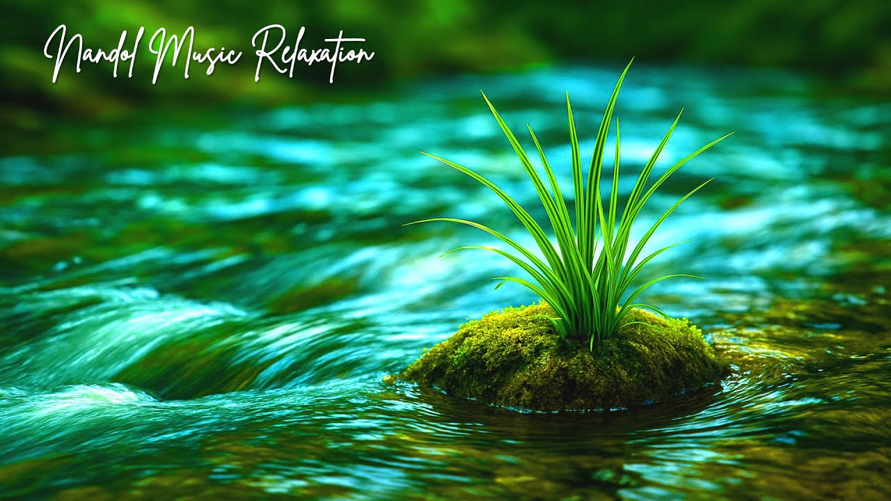 Gentle Night Time Flow: Peaceful Music for a Deep and Restful Sleep Every Evening 🌊