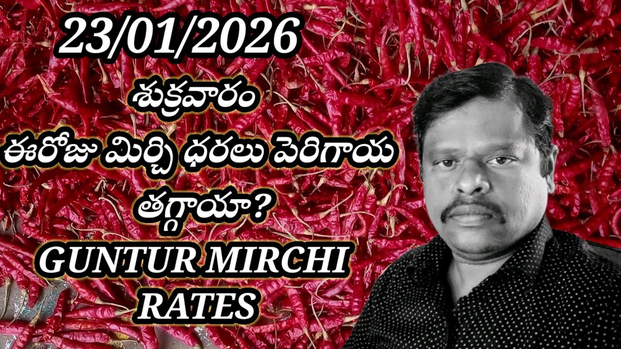 23 January 2026 GUNTUR MIRCHI MARKET RATES గుంటూరు మిర్చి మార్కెట్ ధరలు 