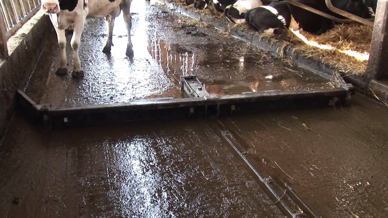 Dairymaster Automatic Scraper Systems