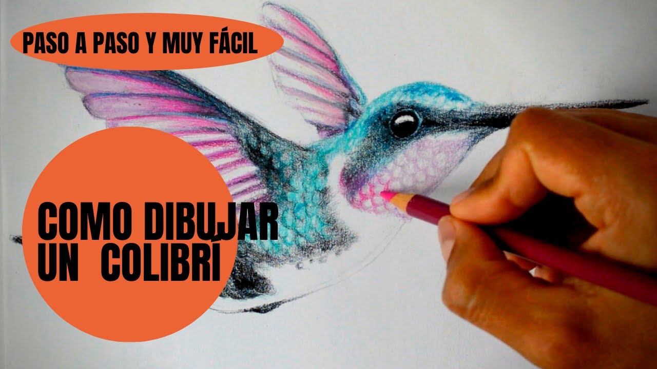 Como Dibujar Un Colibrí Realista Muy Fácil paso a paso.