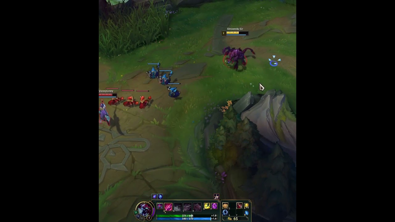 Wtf Fiora   noway4usir #Shorts