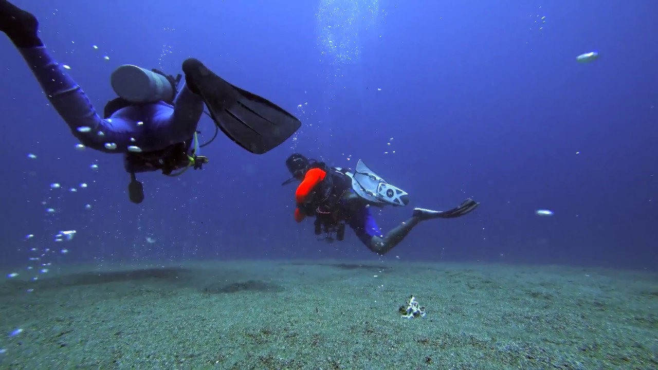 Philippines Apo Island Diving Part3 Paul Ranky 4K UHD H264