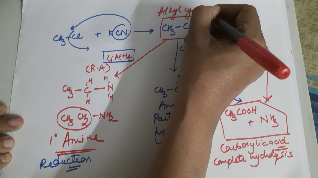 Haloalkanes :Nucleophilic substitution reactions  @ Seema Makhijani