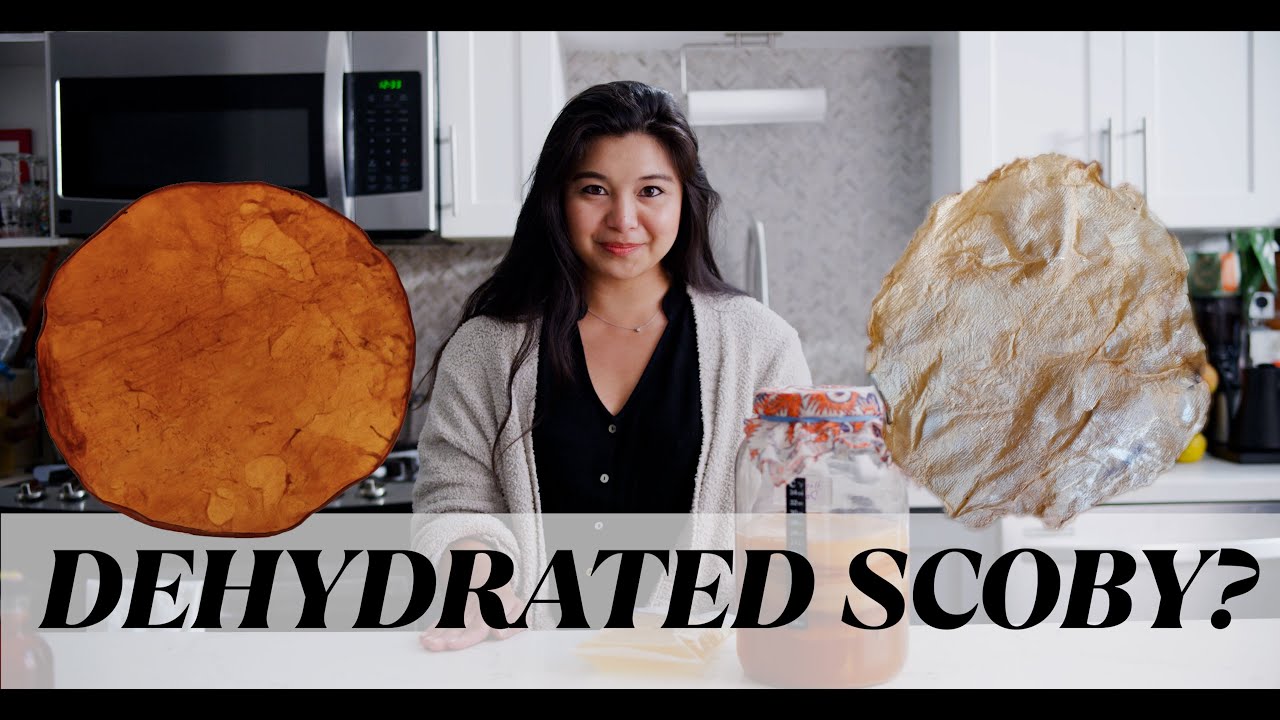 Are Dehydrated SCOBYs Good for Brewing Kombucha?