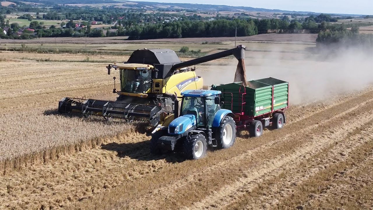 ☆ Żniwa Pszenicy 2022! Na Lubelszczyźnie ☆ New Holland CR9070 ☆ 3x New holland T7 ☆AgroQub☆