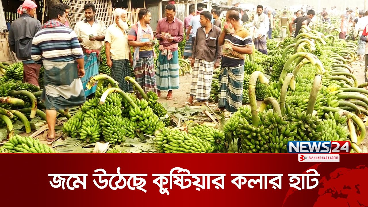 কুষ্টিয়ার মধুপুর হাটে  দিনে বিক্রি হয় ২কোটি টাকার কলা | Kustia Banana | News24