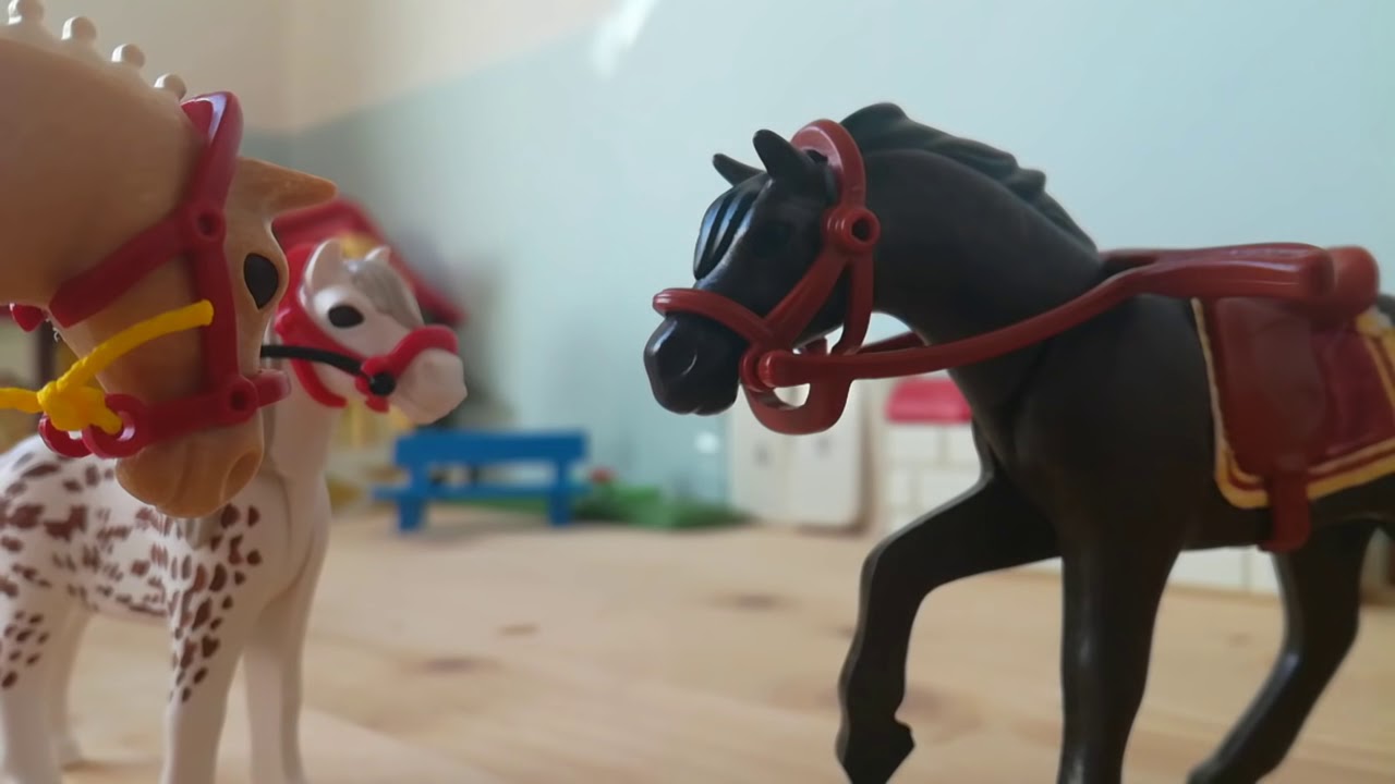 Playmobil Kurzfilm Deutsch - Was machen deine Playmobil Pferde wenn sie alleine Zuhause sind (4)