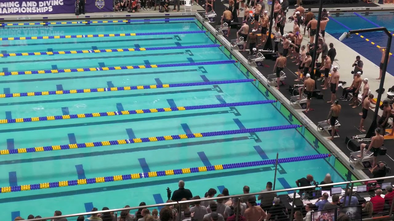 Men's 200 Yard Freestyle Relay A Final | 2026 SEC Swimming & Diving Championship