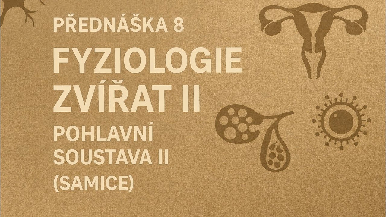 | Přednáška 8 | Fyziologie zvířat II – Pohlavní soustava II (samice)